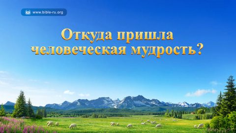 Откуда пришла человеческая мудрость