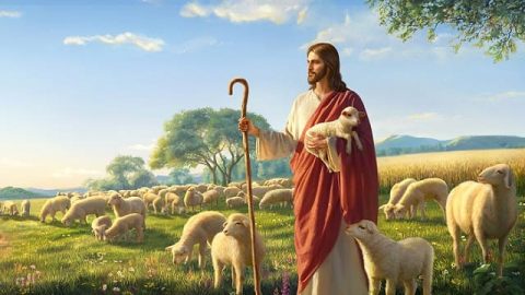 Каковы Божьи намерения, стоящие за «Притча о заблудшей овце»?
