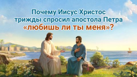 Почему Иисус Христос трижды спросил апостола Петра «любишь ли ты меня»?
