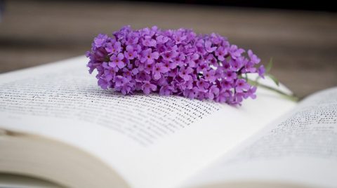 Чтение Библии,Библия