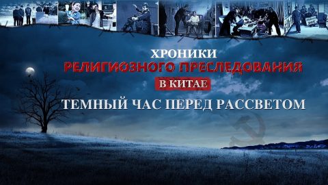 Кто настоящий виновник