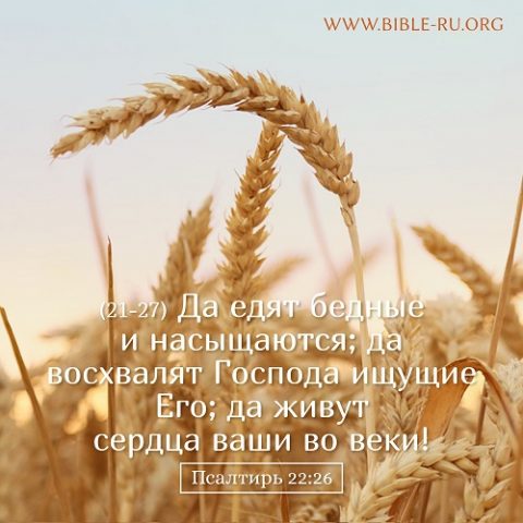 Псалтирь