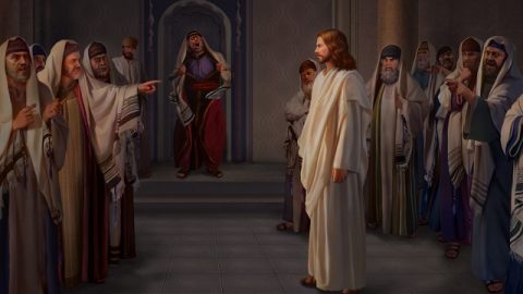 Pharisee accused the Lord Jesus
