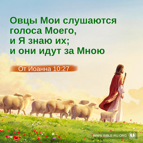 евангелие от иоанна