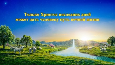 Я есмь путь и истина и жизнь