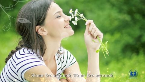 Христанская Песна
