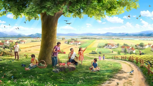 История 1. Семя, земля, дерево, солнечный свет, птицы и человек