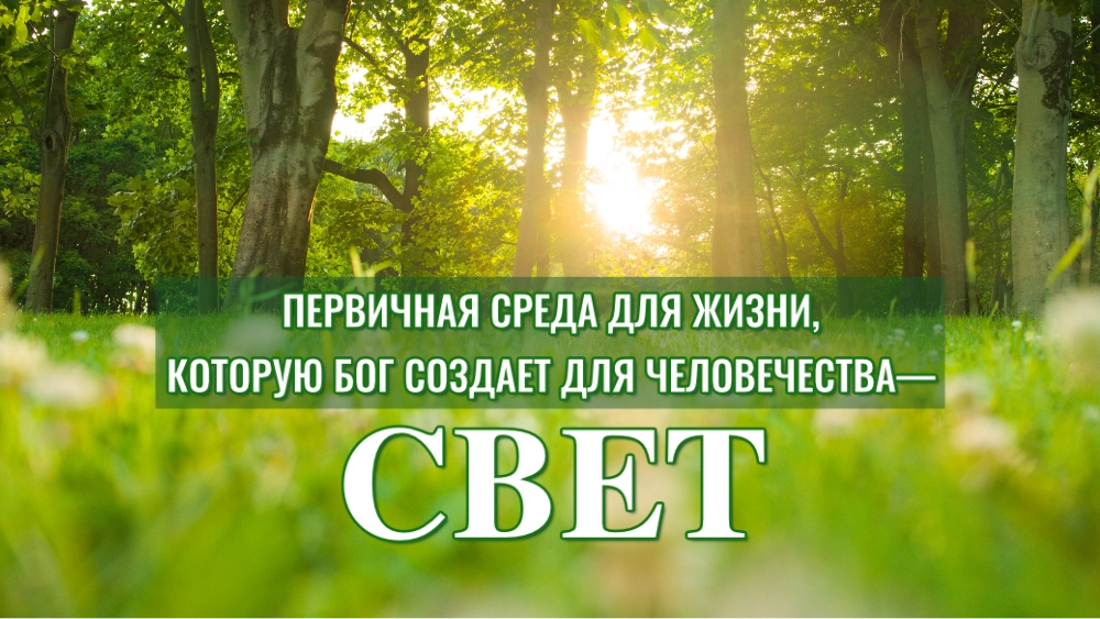 Первичная среда для жизни, которую Бог создает для человечества: Свет
