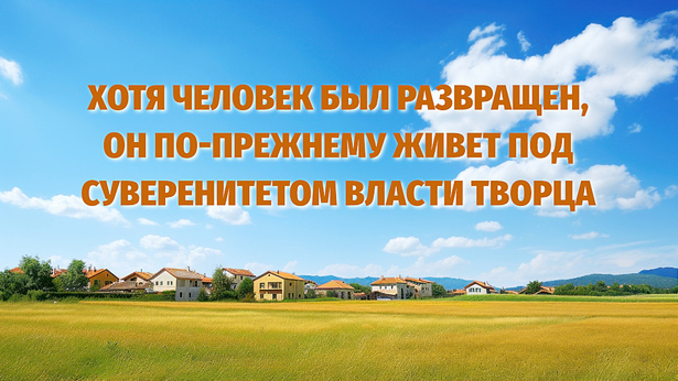 Хотя человек был развращен, он по-прежнему живет под суверенитетом власти Творца