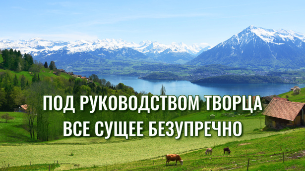 Под руководством Творца все сущее безупречно
