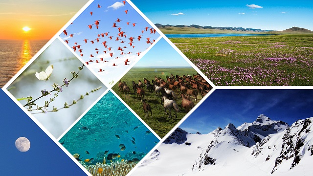 Тот факт, что Творец правит всем сущим и господствует над всем сущим и живыми существами, говорит о реальном существовании власти Создателя