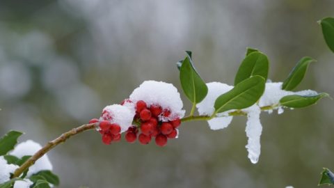 Писание веры