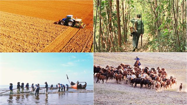 Третья часть: Бог поддерживает природную среду и экологию, чтобы питать человечество