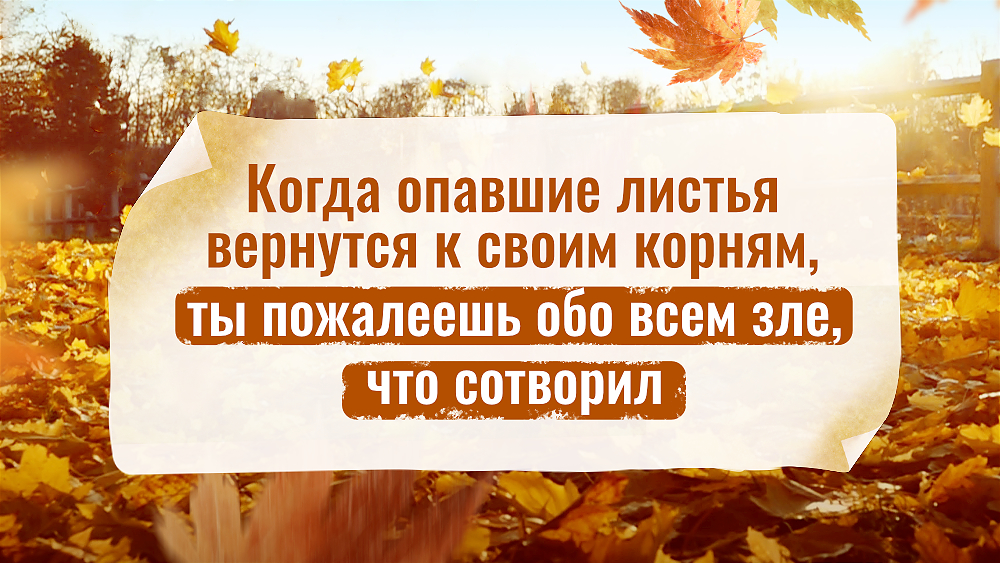 Когда опавшие листья вернутся к своим корням, ты пожалеешь обо всем зле, что сотворил