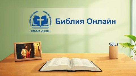 Библия онлайн – изучайте Библию на сайте бесплатно