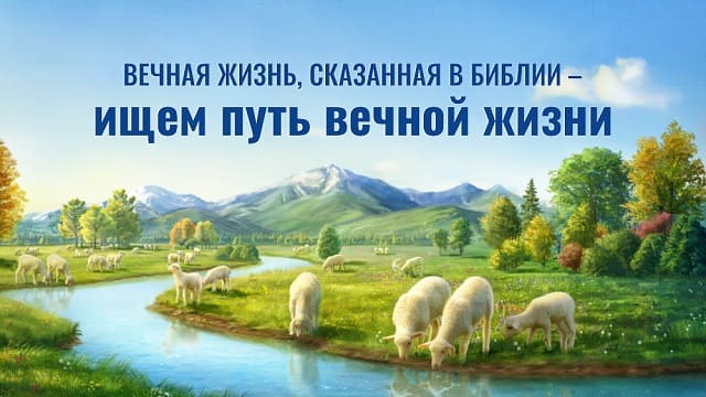 Вечная жизнь, сказанная в Библии – ищем путь вечной жизни