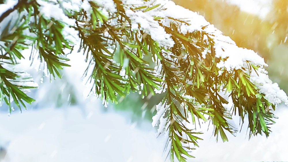 14 библейских стихов о страданиях – познай значимость страданий