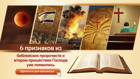 6 признаков из библейских пророчеств о втором пришествии Господа уже появились