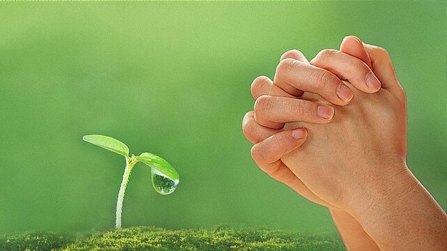 Благодарность Богу за дыхание жизни